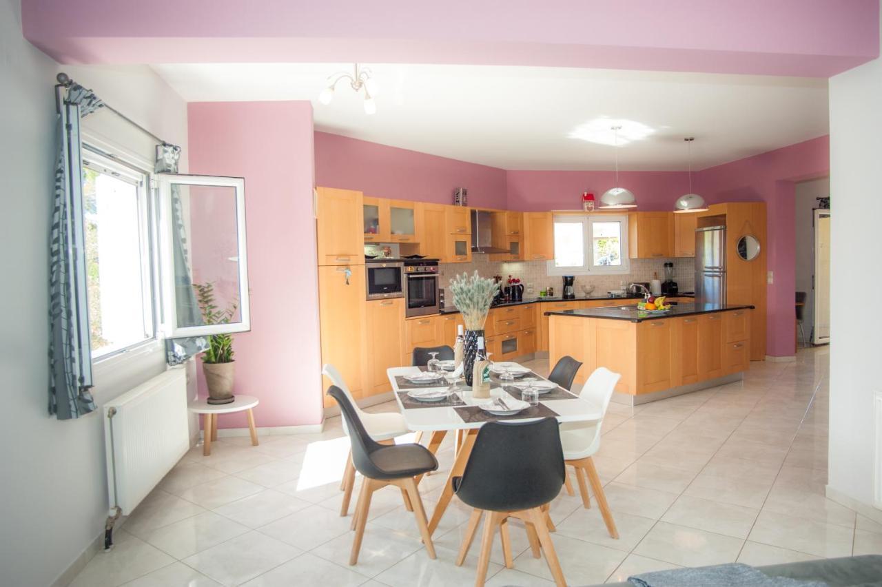 Nikos Apartments Spacious And Panoramic Аргостолион Екстериор снимка