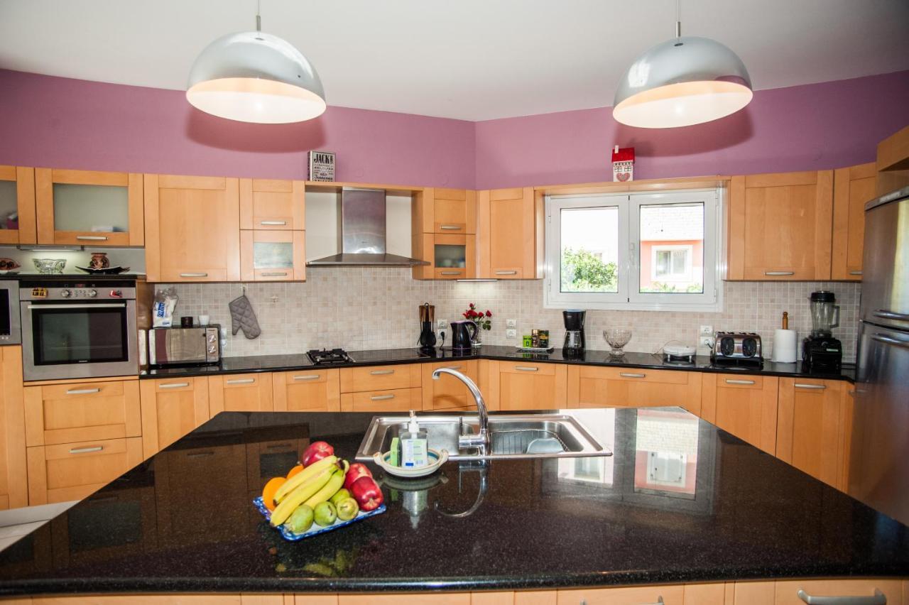 Nikos Apartments Spacious And Panoramic Аргостолион Екстериор снимка