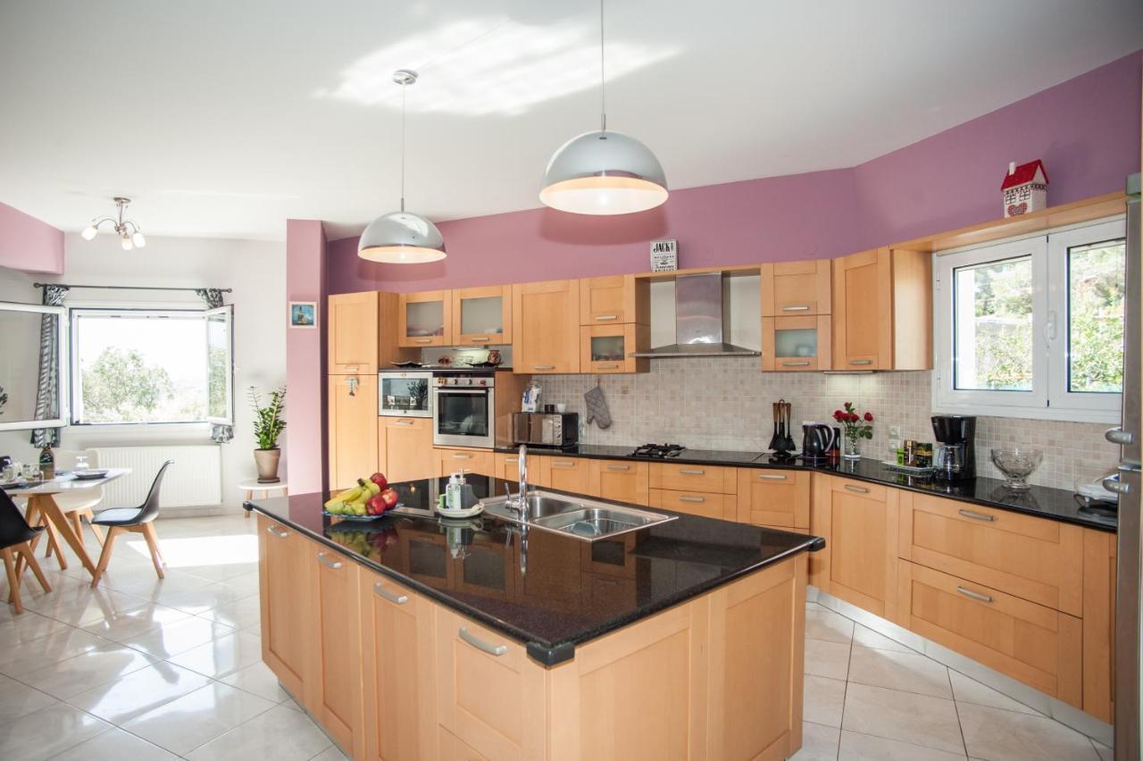 Nikos Apartments Spacious And Panoramic Аргостолион Екстериор снимка